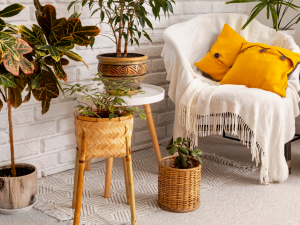 Cozy Dekorasyon Akımı Nedir