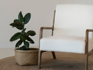 Japandi İç Tasarım Rehberi