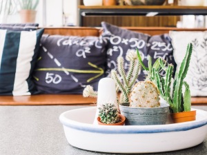 Sahil Tarzı Dekorasyon Akımı Nedir