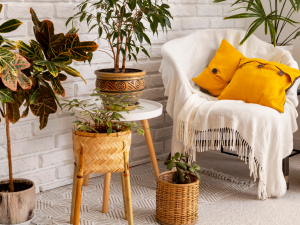 Tropikal Dekorasyon Akımı